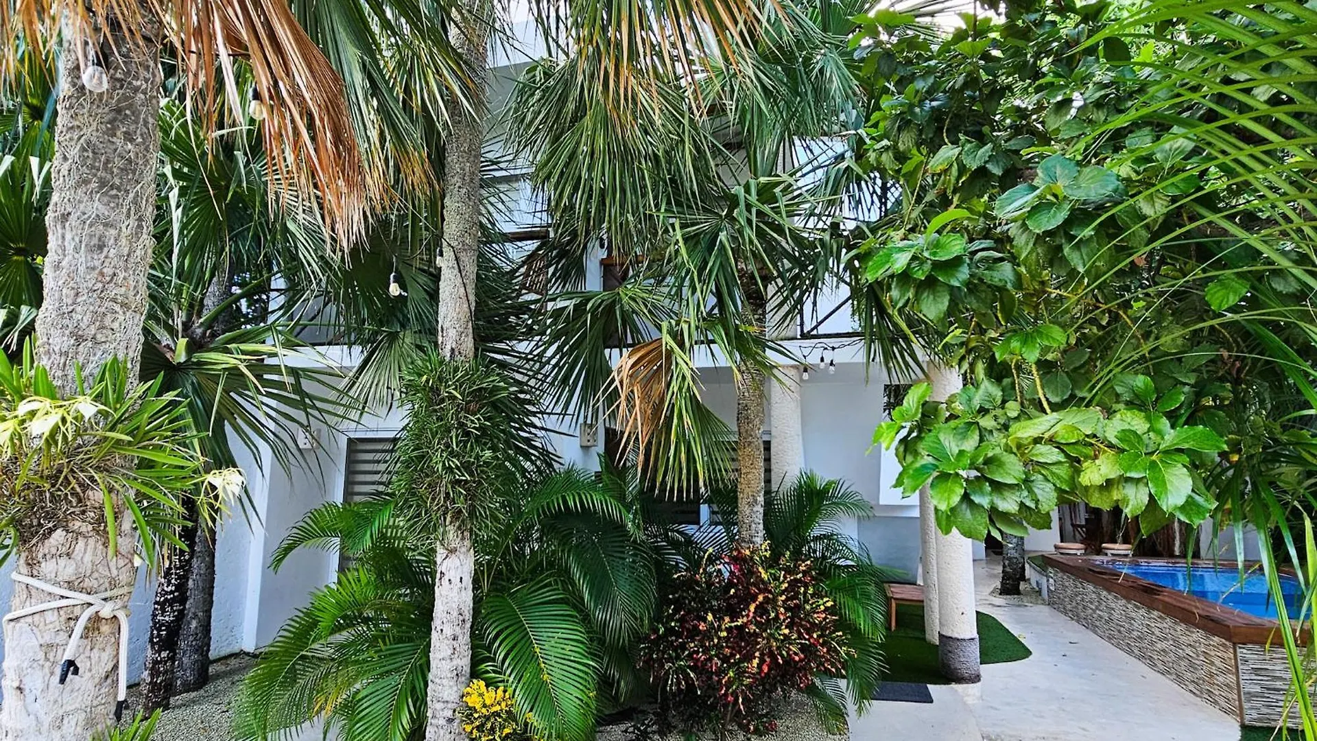 Sayu - Suites Cozumel Appartement